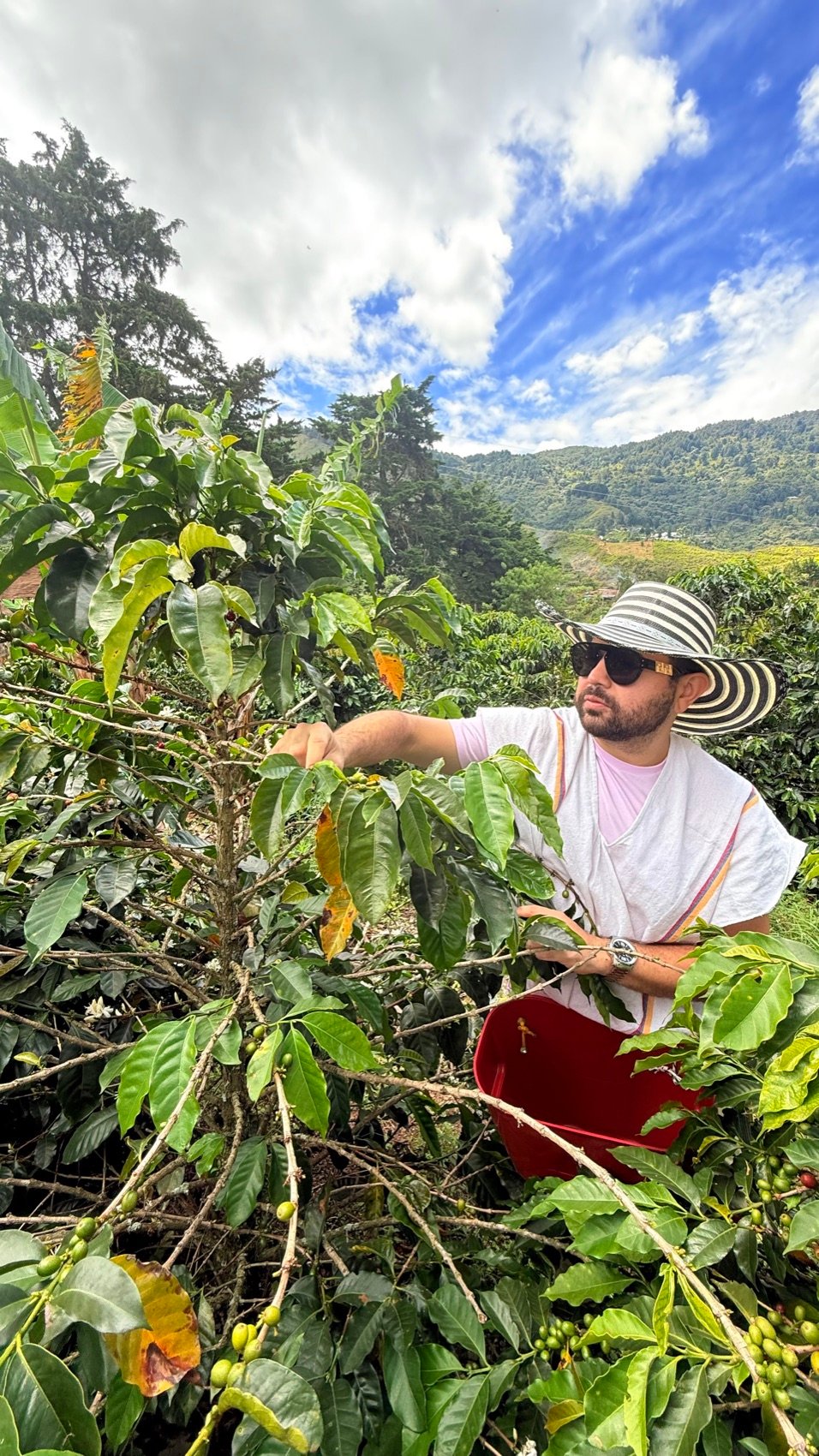 Colombia · finca cafetera